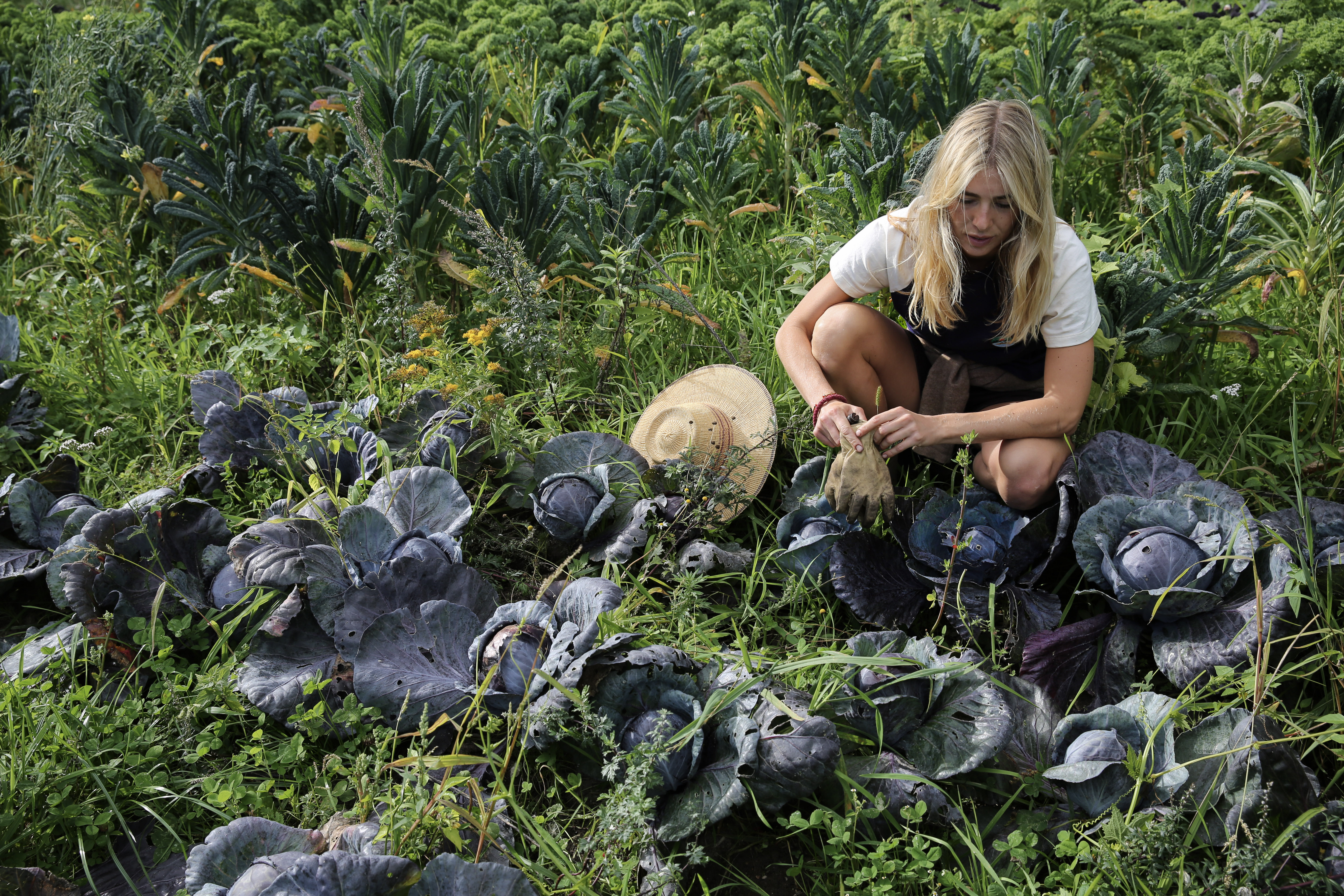 Mathilde working among purple cabbages